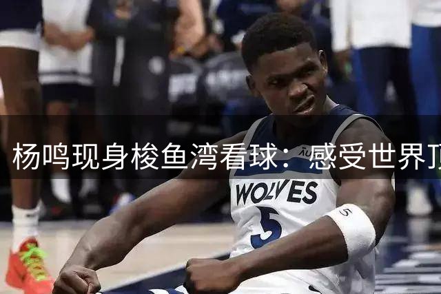 杨鸣现身梭鱼湾看球：感受世界顶级球迷文化，感概什么才叫底蕴